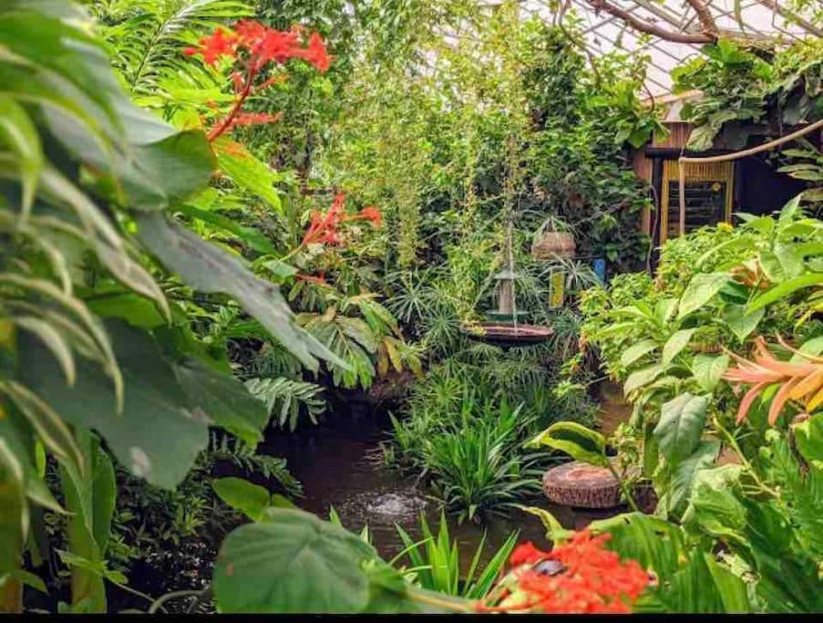Hidden Gem !Stunning 3 Bedroom Home In Sheffield Handsworth Dış mekan fotoğraf