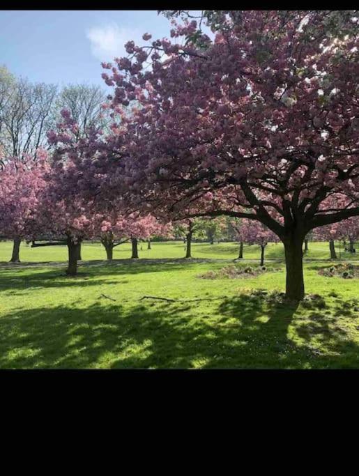 Hidden Gem !Stunning 3 Bedroom Home In Sheffield Handsworth Dış mekan fotoğraf